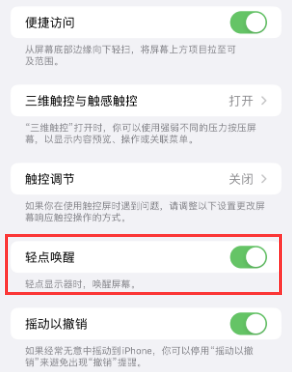 阜南苹果授权维修站分享iPhone轻点无法唤醒怎么办 