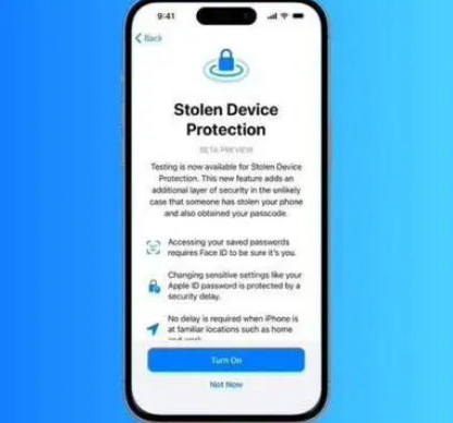 阜南苹果授权维修店分享被盗设备保护功能开启方法 