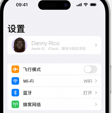 阜南appleID维修服务iPhone设置中Apple ID显示为灰色无法使用