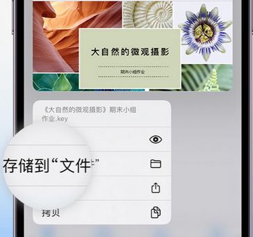 阜南apple维修中心分享iPhone文件应用中存储和找到下载文件