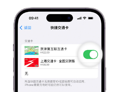 阜南apple维修点分享iPhone上更换Apple Pay快捷交通卡手绘卡面 