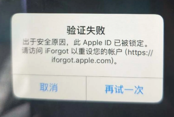 阜南iPhone维修分享iPhone上正常登录或使用AppleID怎么办 