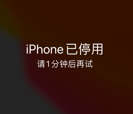 阜南苹果手机维修分享:iPhone 显示“不可用”或“已停用”怎么办？还能保留数据吗？ 