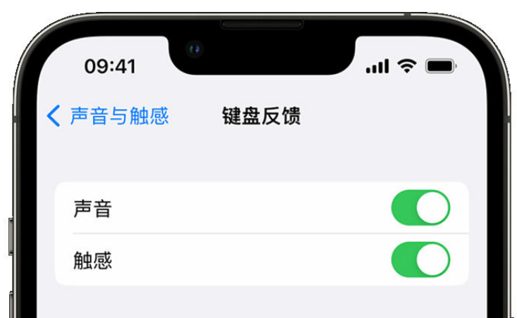 阜南苹果手机维修分享iPhone 14触感键盘使用方法 