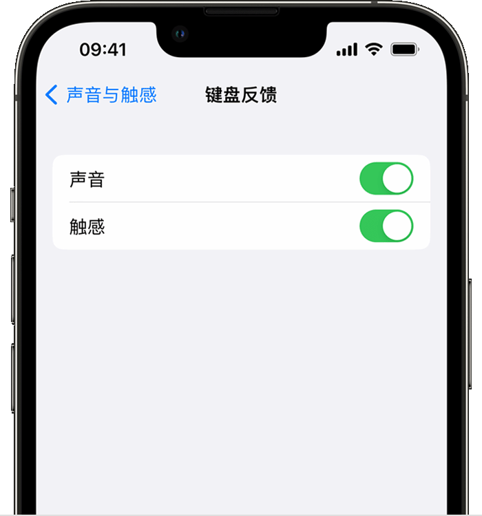 阜南苹果14维修店分享如何在 iPhone 14 机型中使用触感键盘 