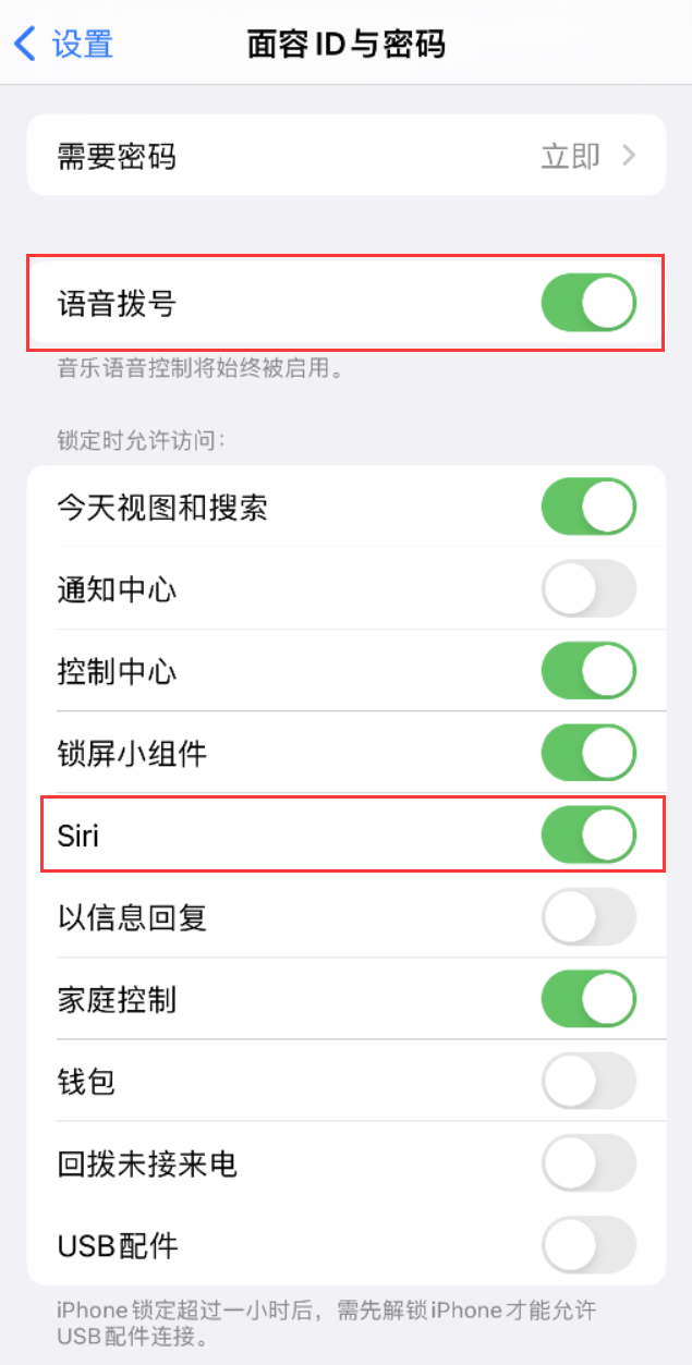 阜南苹果维修网点分享不解锁 iPhone 的情况下通过 Siri 拨打电话的方法 