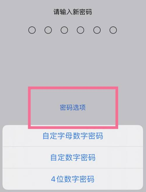 阜南苹果14维修分享iPhone 14plus设置密码的方法 