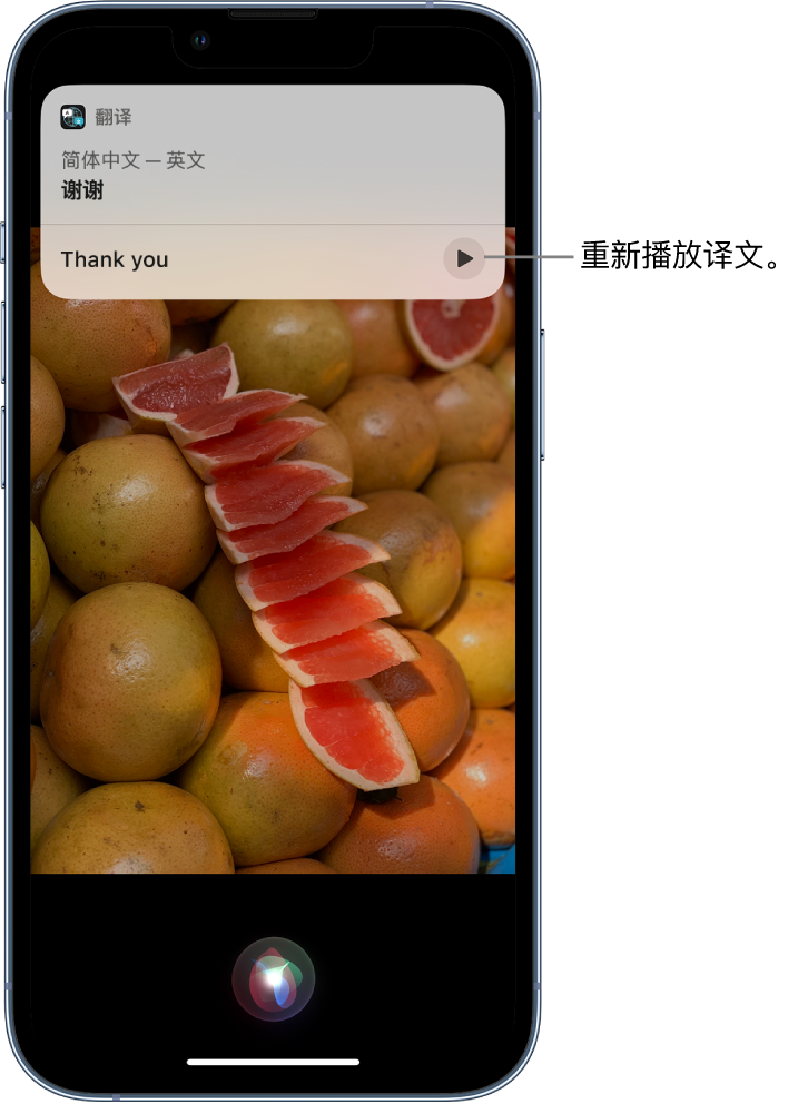 阜南苹果14维修分享 iPhone 14 机型中使用 Siri：了解 Siri 能帮你做什么 