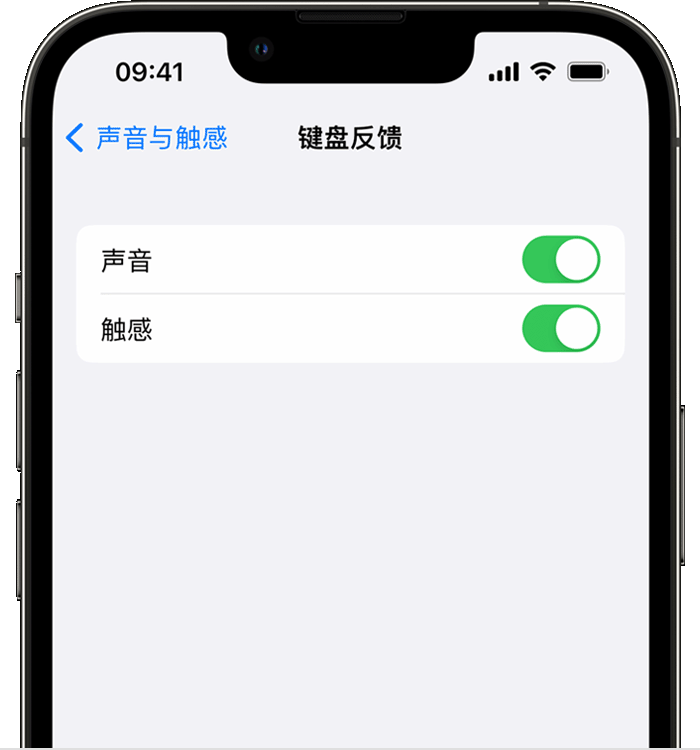 阜南苹果14维修分享iPhone 14 系列机型如何开启键盘声音或触感反馈 