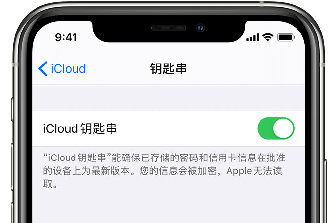 阜南苹果手机维修分享在 iPhone 上开启 iCloud 钥匙串之后会储存哪些信息 