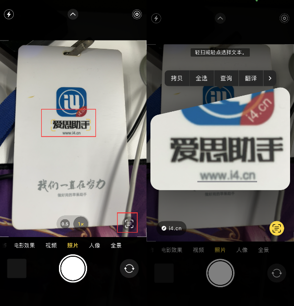 阜南苹果手机维修分享升级iOS 16后如何通过相机翻译文本 