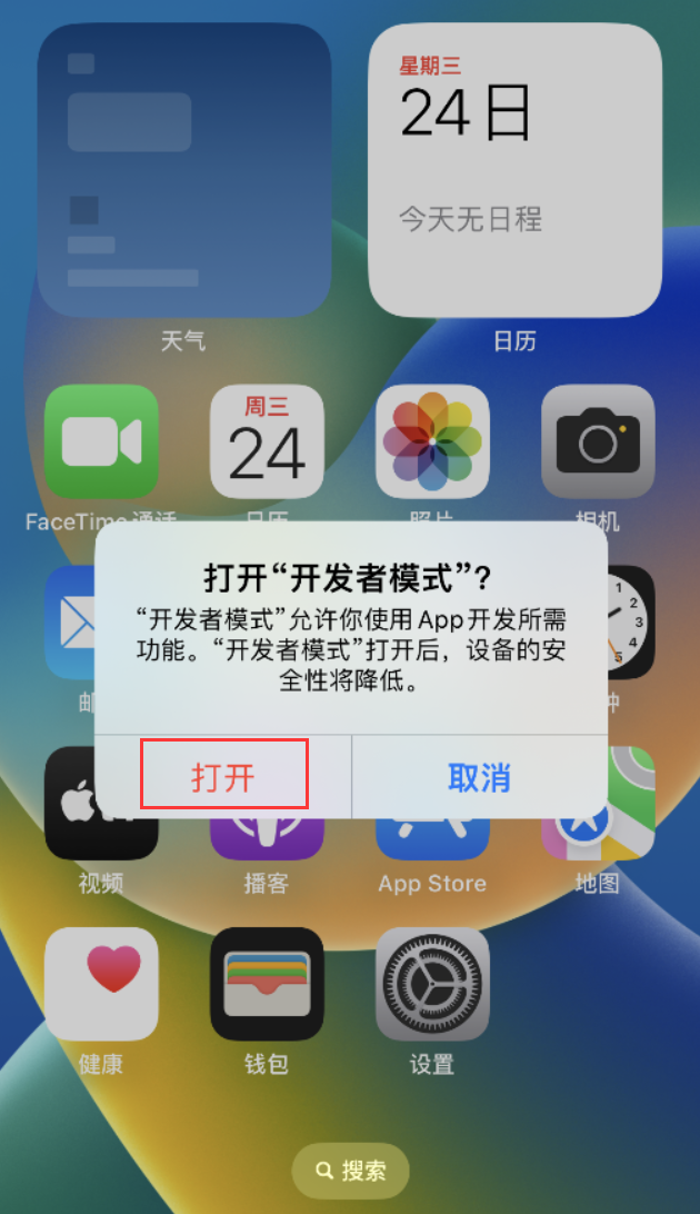 阜南苹果手机维修分享如何打开开发者模式 
