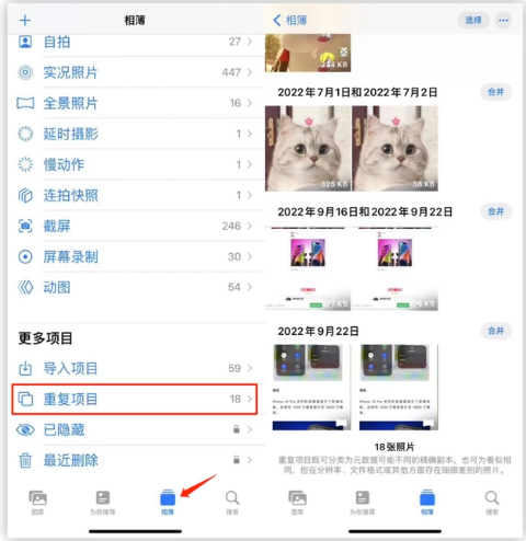 阜南苹果手机维修分享iOS 16 中相册重复项目功能使用方法 