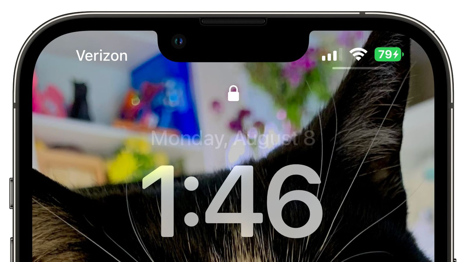 阜南苹果手机维修分享iOS 16 beta 5 支持状态栏显示电池百分比，如何开启？支持哪些机型 