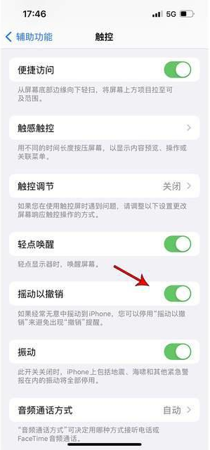 阜南苹果手机维修分享iPhone手机如何设置摇一摇删除文字 