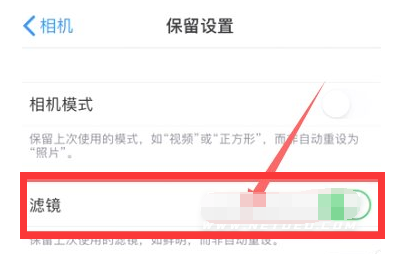 阜南苹果13维修分享iPhone13拍照有绿点是怎么回事 