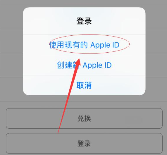 阜南苹果手机维修分享两台iPhone设备可以同时登录一个Apple ID吗 