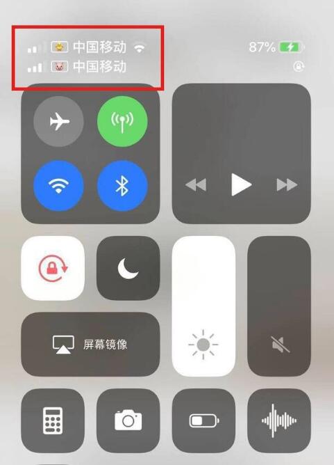 阜南苹果手机维修分享为 iPhone 12 双卡设置标签 