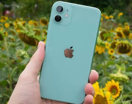 阜南苹果维修点分享iPhone 11锁屏密码认知与使用科普 